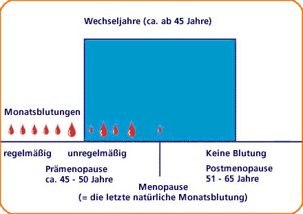 wechseljahre.jpg