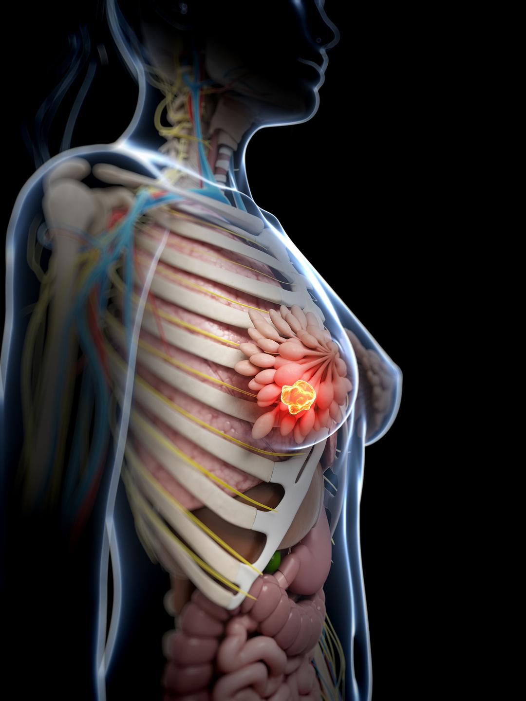mammal lesion image